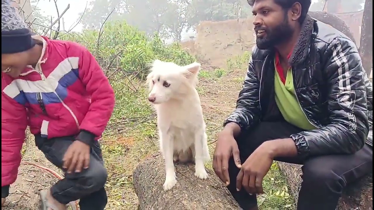 New vlog 🤣🤪 ||Vsds vlogs||Vsds Dighiya|| 