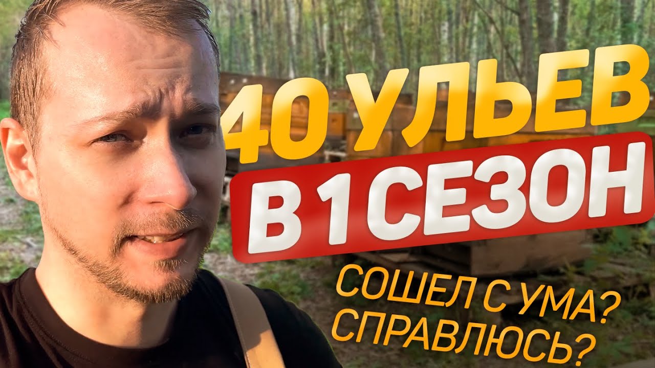 40 семей в первый сезон/начинающий пчеловод/дачная суета/всё как всегда не по плану