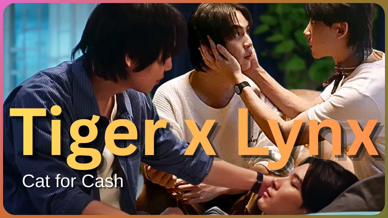 [MV] TIGER & LYNX // Cat for Cash // Doki Doki; I Keep Falling ~ BL