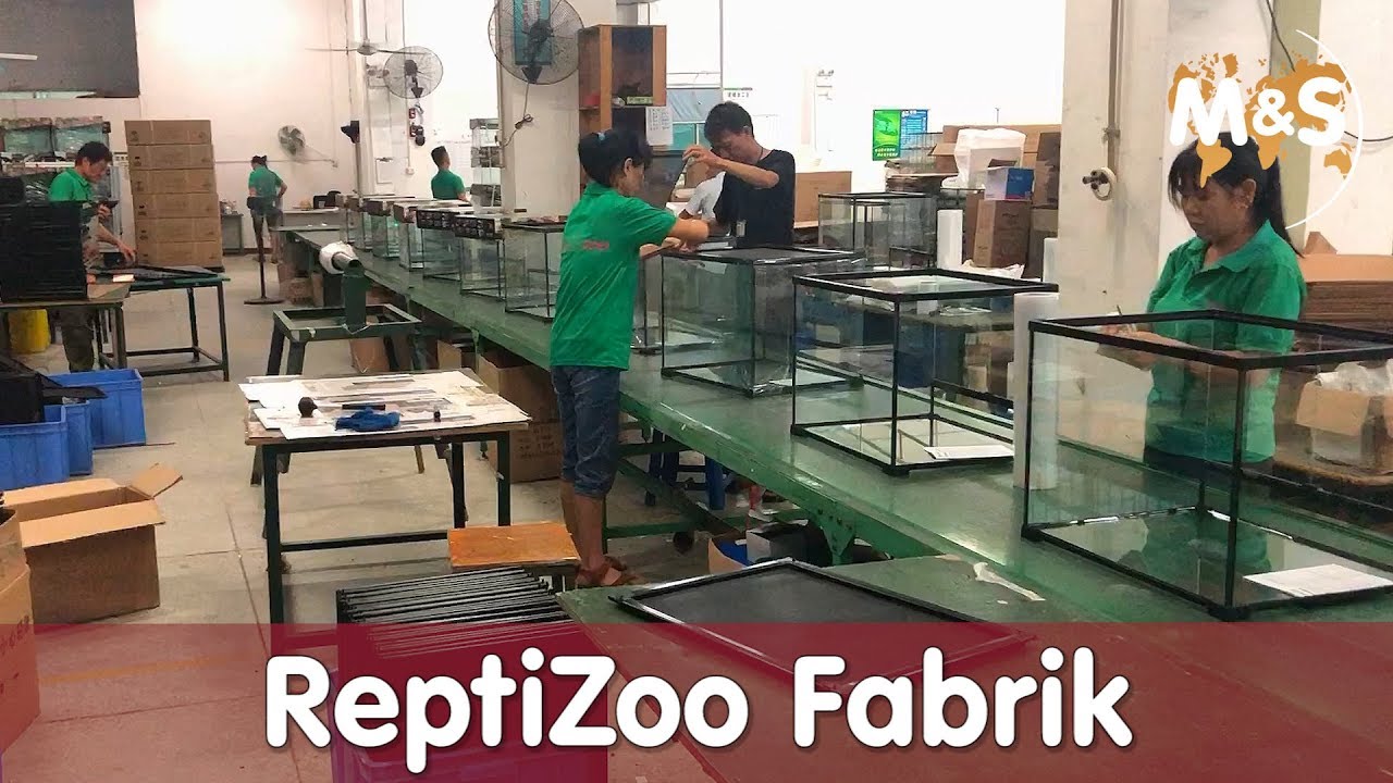 Made in China | ReptiZoo Fabrik Kontrolle | Reptil TV