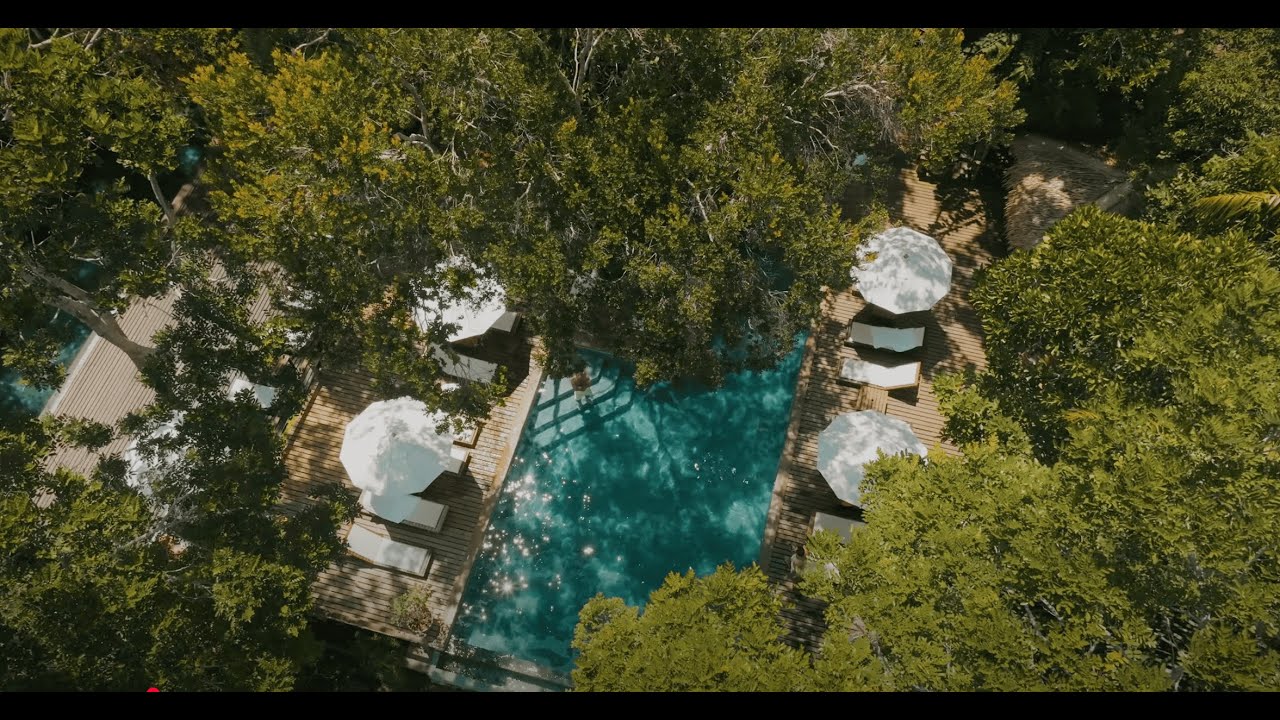 Descubra a Amaz&ocirc;nia - Discover the Amazon - Anavilhanas Jungle Lodge