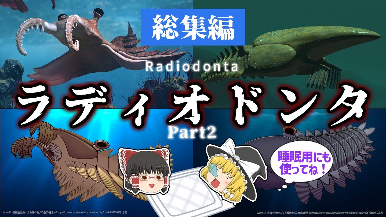 【睡眠用・ゆっくり解説】ラディオドンタ類 Part2　アノマロカリス/エーギロカシス/カンブリア紀など【広告最初のみ　途中広告なし】