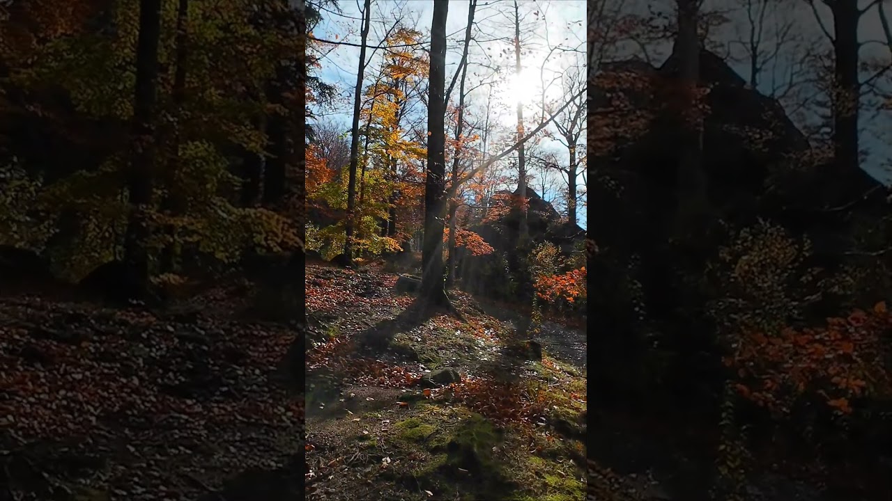 Złota jesień. Rudawy Janowickie. Polska. 🇵🇱