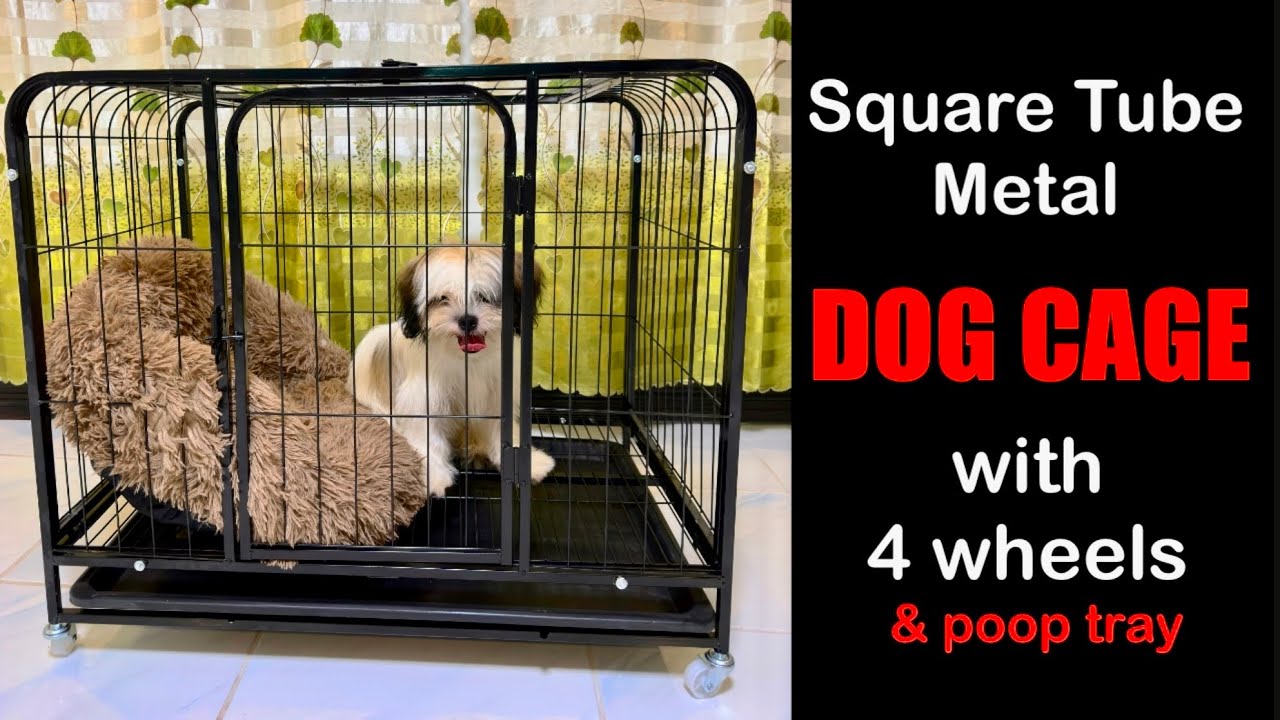 Dog cage | unboxing and assembling | Azo Edition