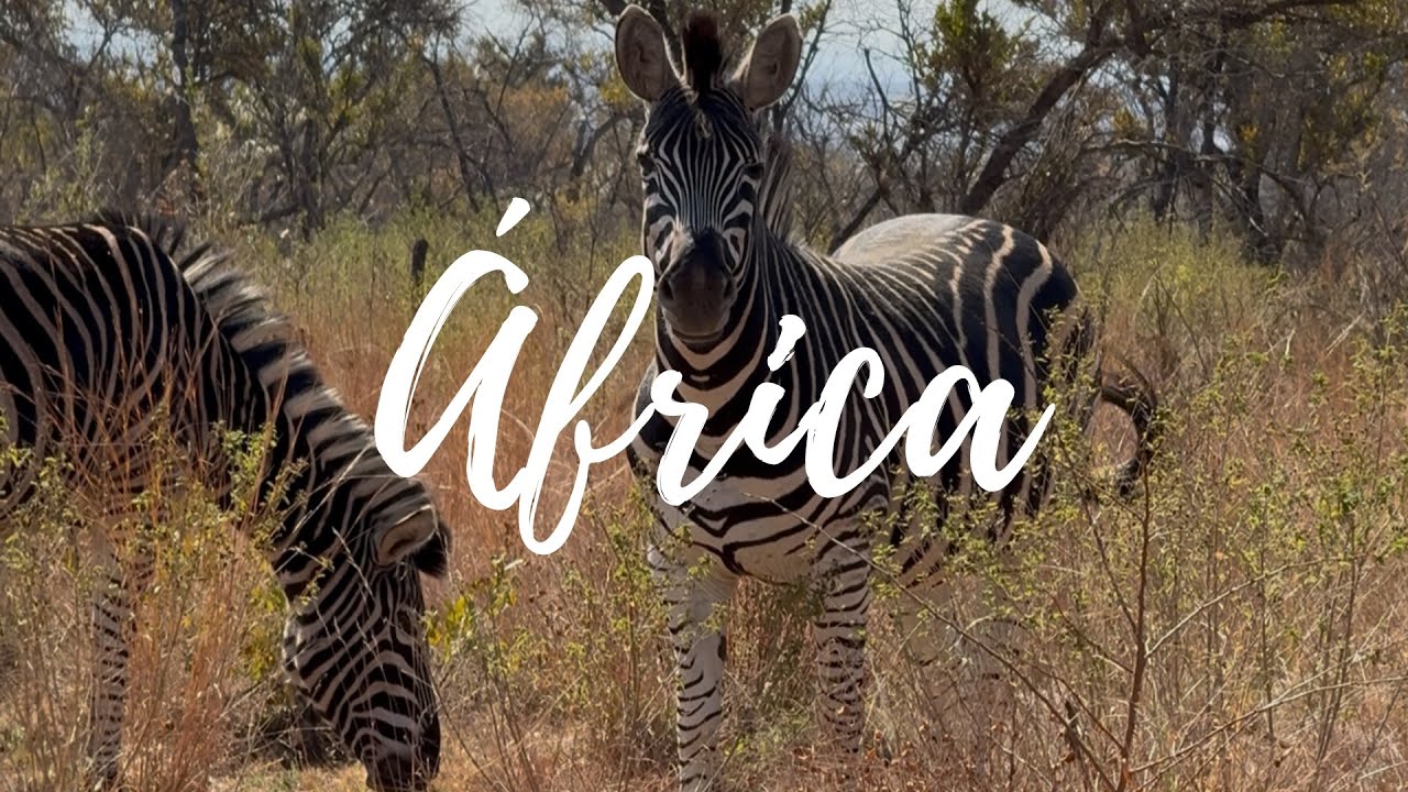 ÁFRICA – SAFÁRI – VIAGEM - EXPERIÊNCIA