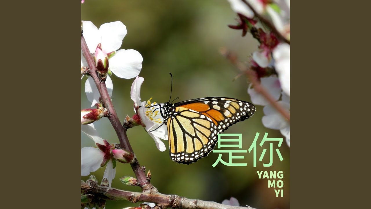 是你