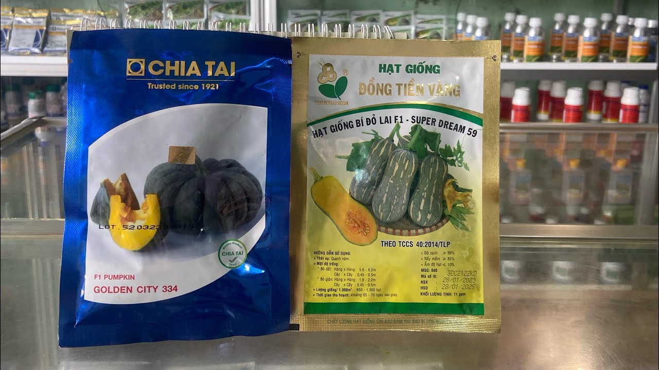 Giống bí năng suất,kháng bệnh tốt nhất#caytrong#hatgiong