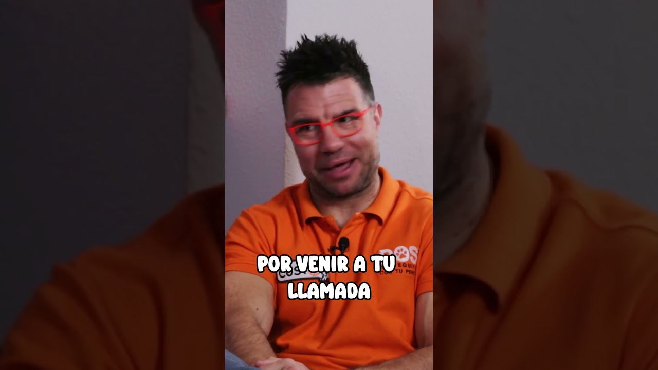 Mi perro no hace caso a la llamada 😓 | Adiestramiento Canino 🐶