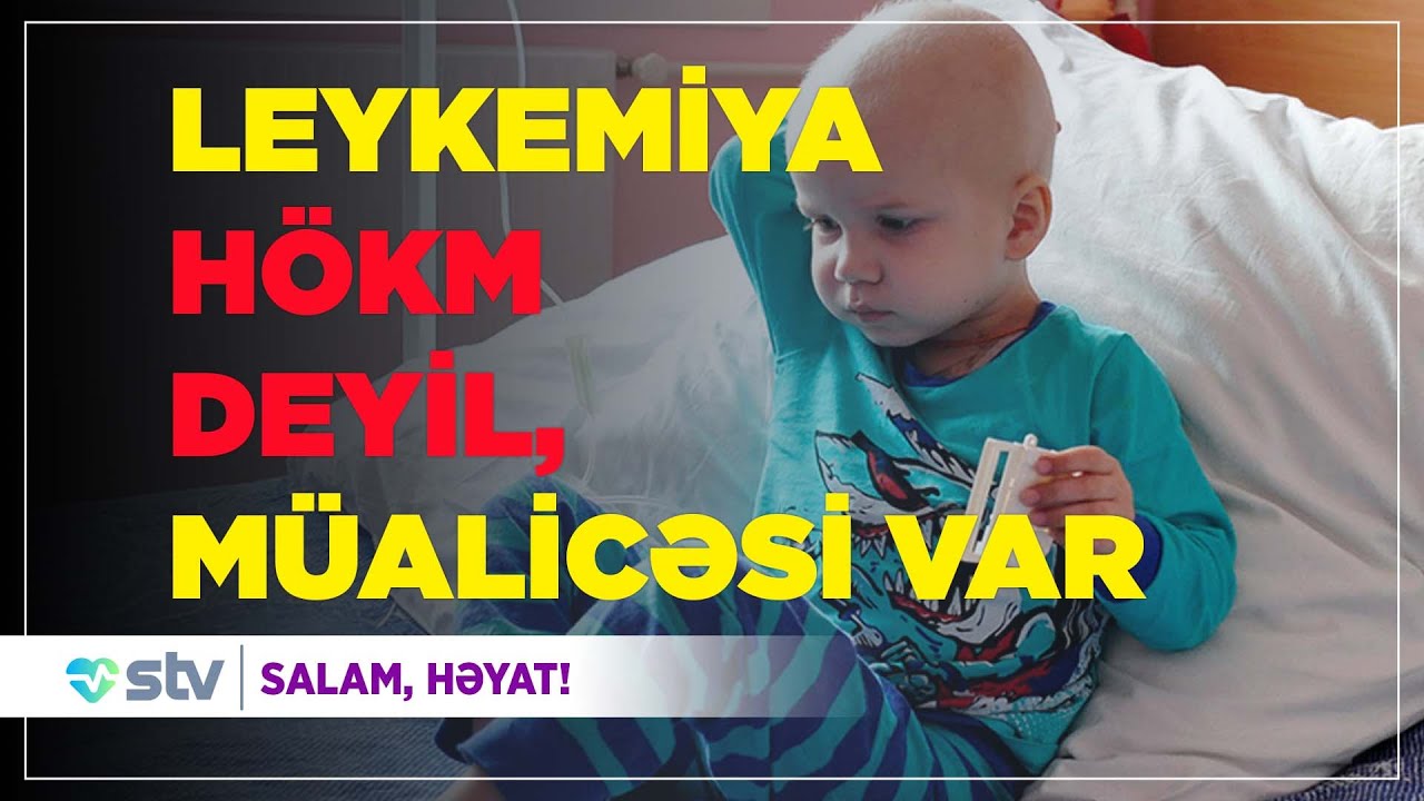 Leykemiya hökm deyil, müalicəsi var - Salam Həyat  (28.01.23)