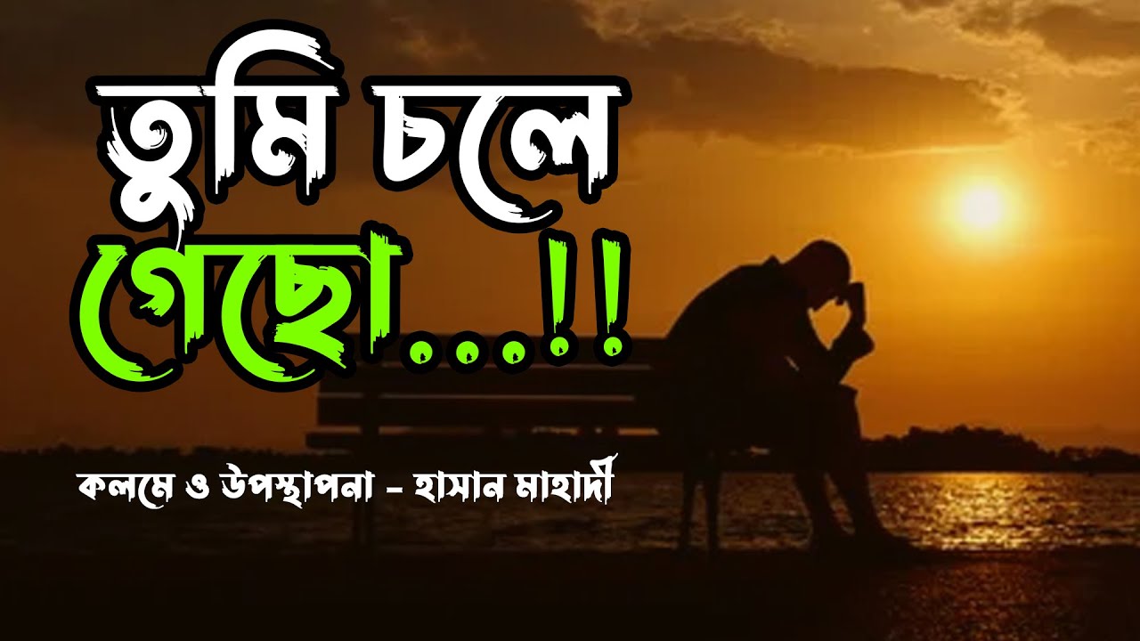 তুমি চলে গেছো...!! হাসান মাহাদী