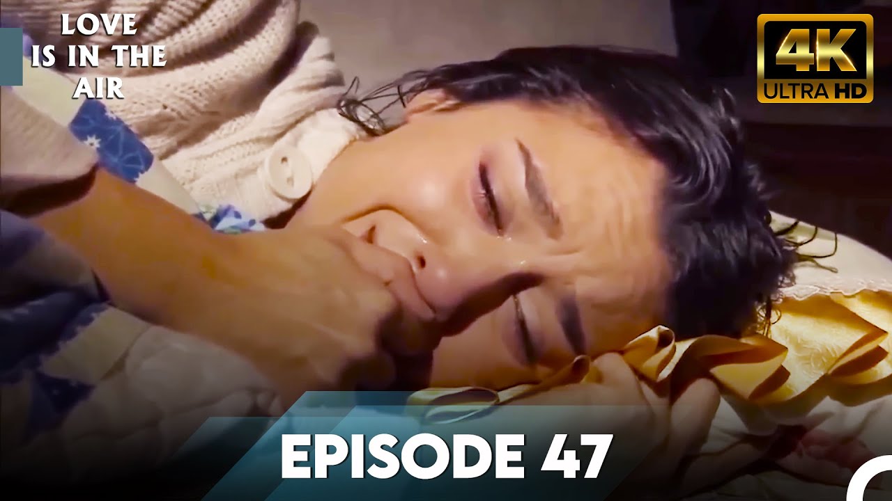 Love Is In The Air 4K | Episode 47
