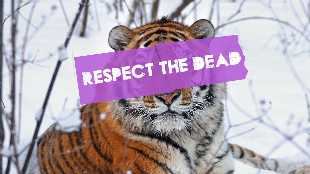 The Tigers