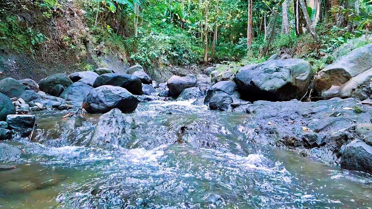 Natural River Sounds for Stress Release