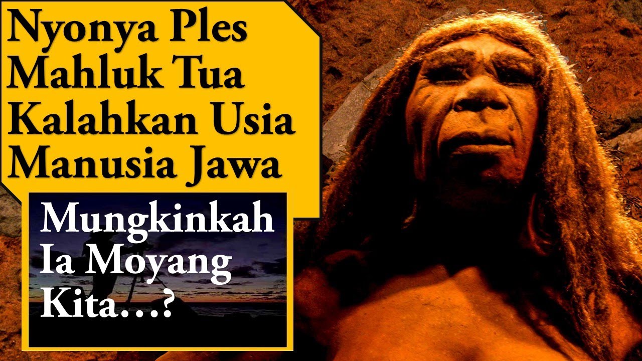 Mrs Ples, Mahluk Mirip Manusia yang Penuh Misteri