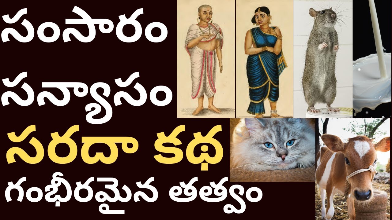 కథ : కౌపీన సంరక్షణార్ధం అయంపటాటోపః koupeena samrakshanartham ayam patatopaha ithihasam channel