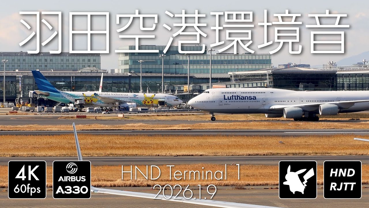 [空港環境音] ガルーダインドネシア航空ピカチュウジェットと羽田空港第1ターミナルからの景色 [PK-GPY][D-ABYQ] #pokemon #airport