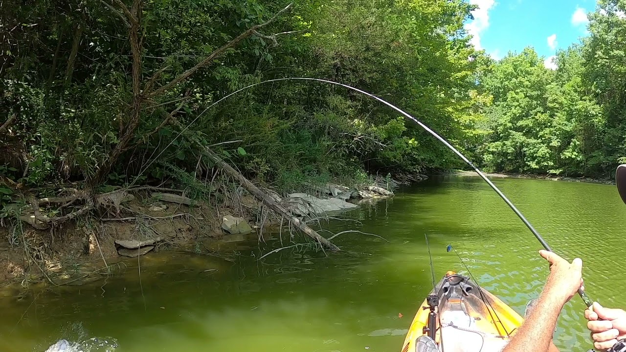 Bass Fishing Willisburg Lake and got a surprise Catfish.