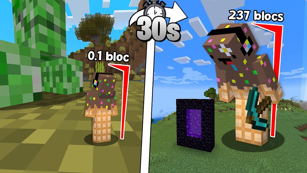 Finir Minecraft mais je change de taille de fa&ccedil;on Al&eacute;atoire.. (IMPOSSIBLE)