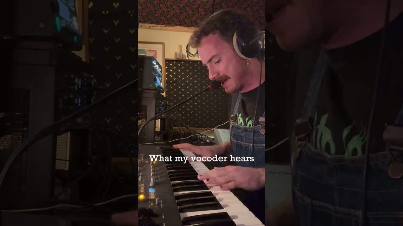 What my vocoder hears vs. What my 3am tinder date hears