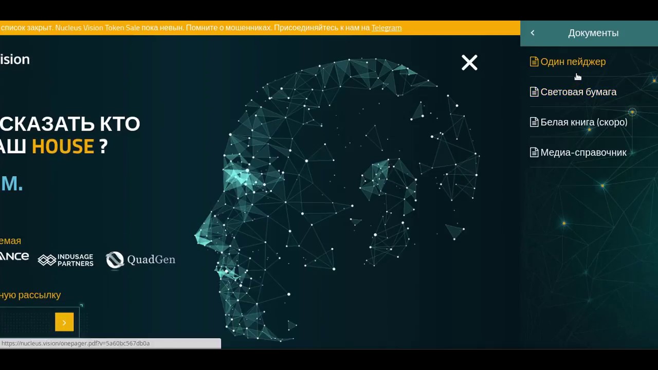 Обзор Whitepaper Nucleus Vision
