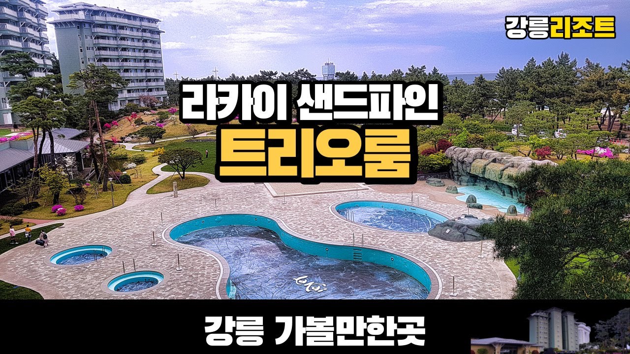 강릉 경포대 라카이 샌드파인 트리오룸 리조트 Lakai Sand Pine TrioRoom in Gangneung Korea