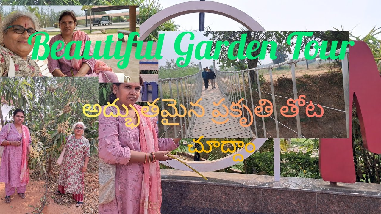 Beautiful Nature Garden @KPOrganicGardener#Organic #farming #sandalwood #real-estate 