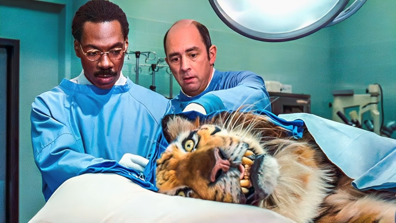 A Doctor Who Understands Animal Language, Saves Them From Extinction