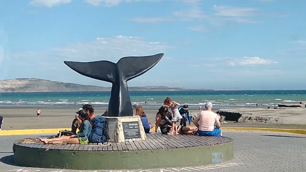 PUERTO PIRAMIDES, CHUBUT - PATAGONIA ARGENTINA (2022)