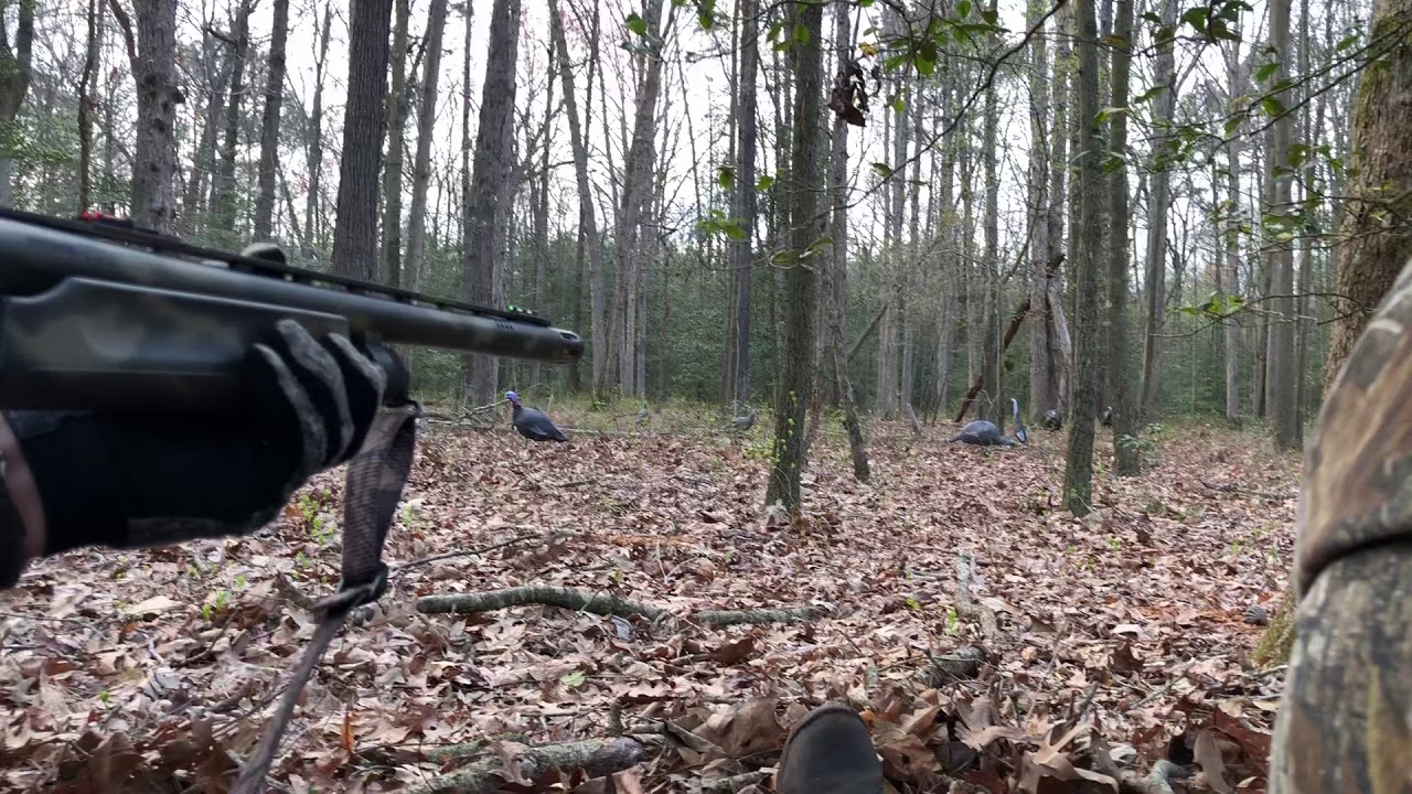 Maryland spring turkey hunt 2018 (part2)