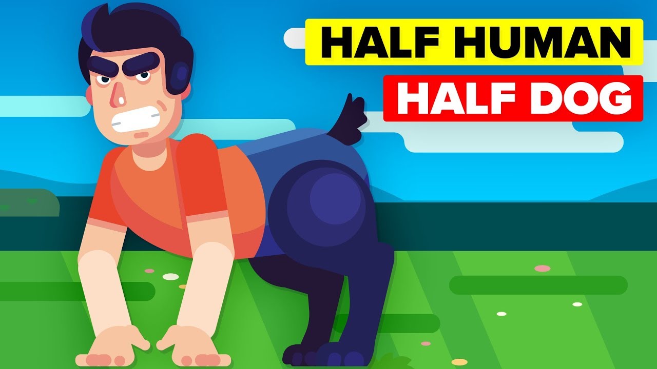 Why Can't Humans Breed with Animals?