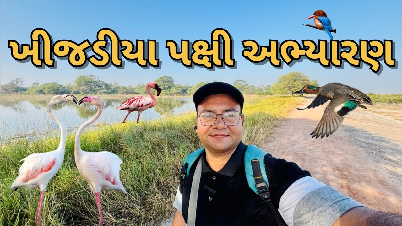 ખીજડીયા પક્ષી અભ્યારણ જામનગર | Khijadiya Bird Sanctury Jamnagar | Bird Sanctury Jamnagar Gujarat