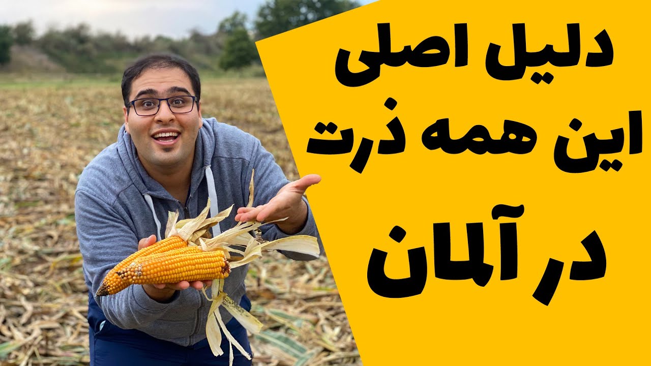 چرا در آلمان این همه ذرت کاشته میشه؟ 😲 خودمم وقتی فهمیدم شوکه شدم