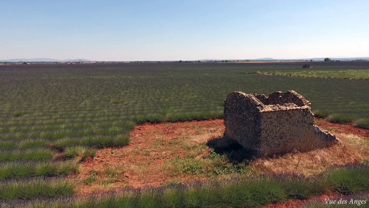 le cabanon aux extra terrestres &agrave; Valensole