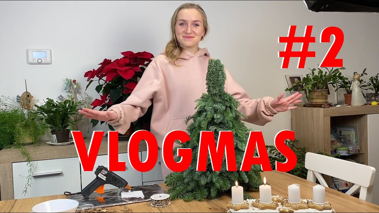 Adéla Zouharová - VLOGMAS #2 - vánoční dekorace, sushi, nákupy