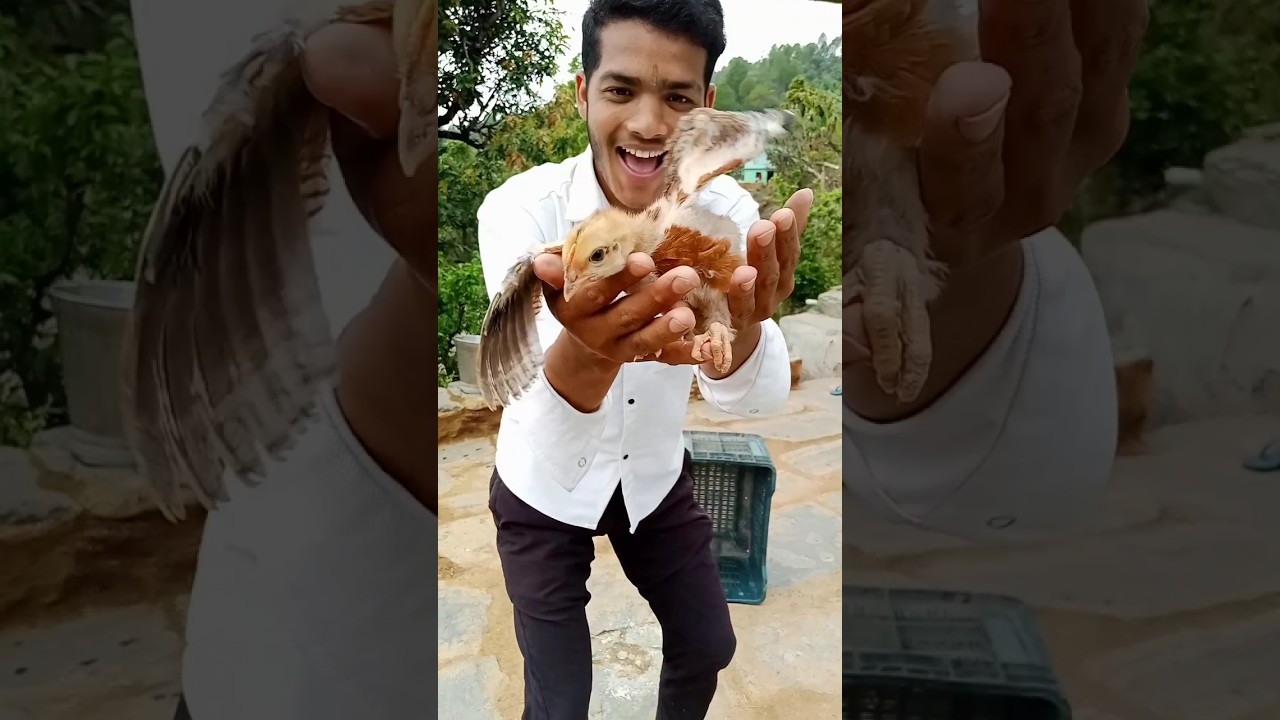 Lag Piece Chota Hai 🍗😆 #uttarakhand #minivlog #village #vlog #shorts