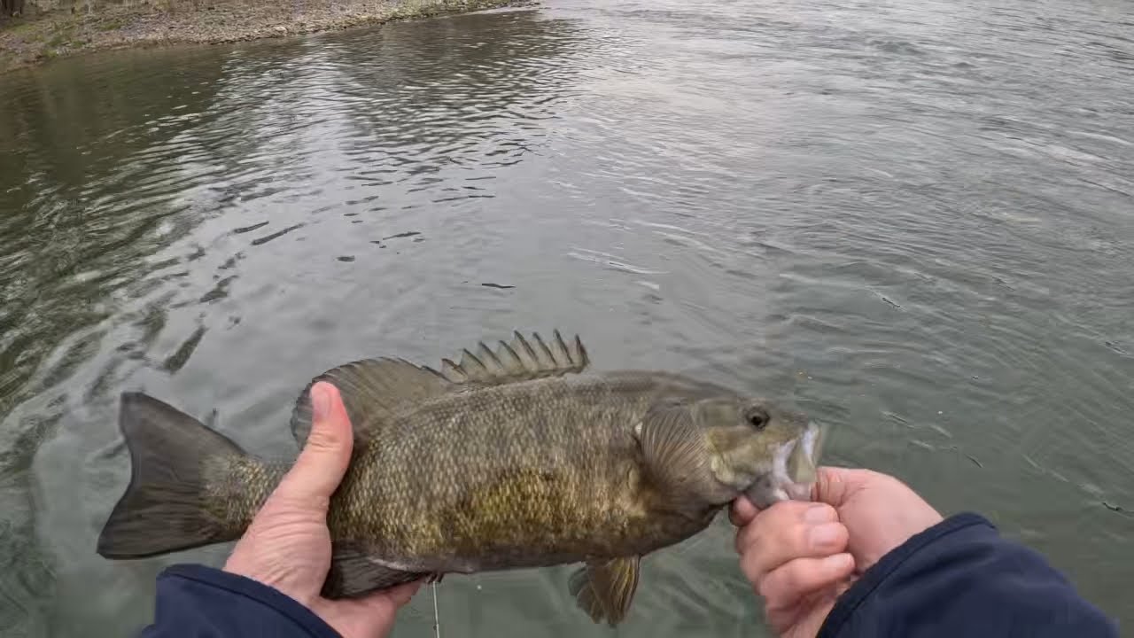 Spring Smallmouth on the Susquehanna North Branch