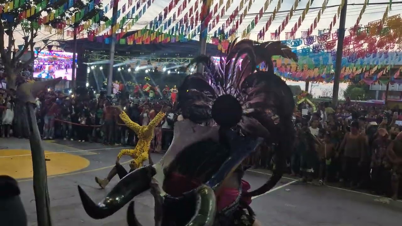 Tigre (jaguar) y el toro, Pinotepa de Don Luis,  Carnaval 2026