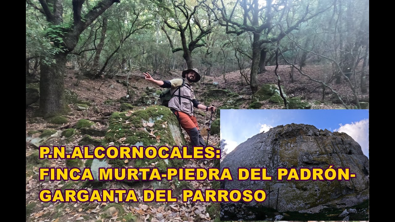 P.N. Alcornocales: Finca Murta-Cortijo Casas Nuevas-Piedra del Padrón-Garganta del Parroso