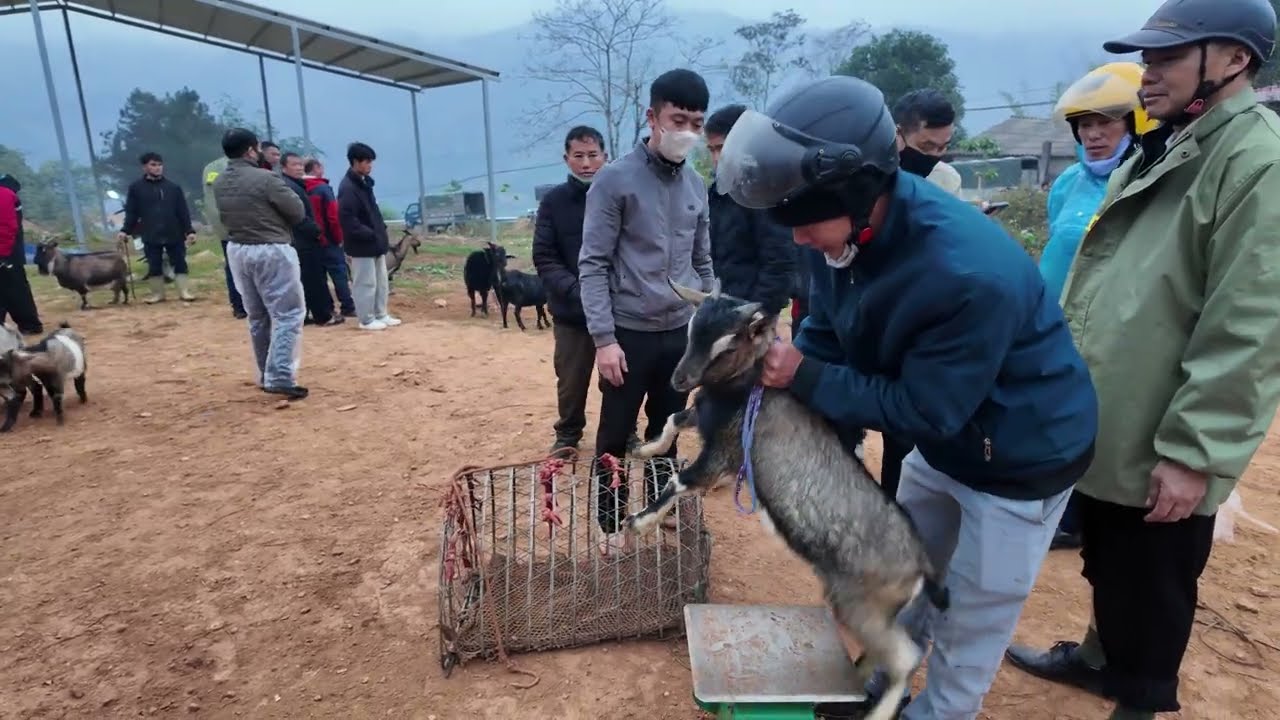 Vietnamese market fair -It was wonderful to visit the market in the northwestern mountains.