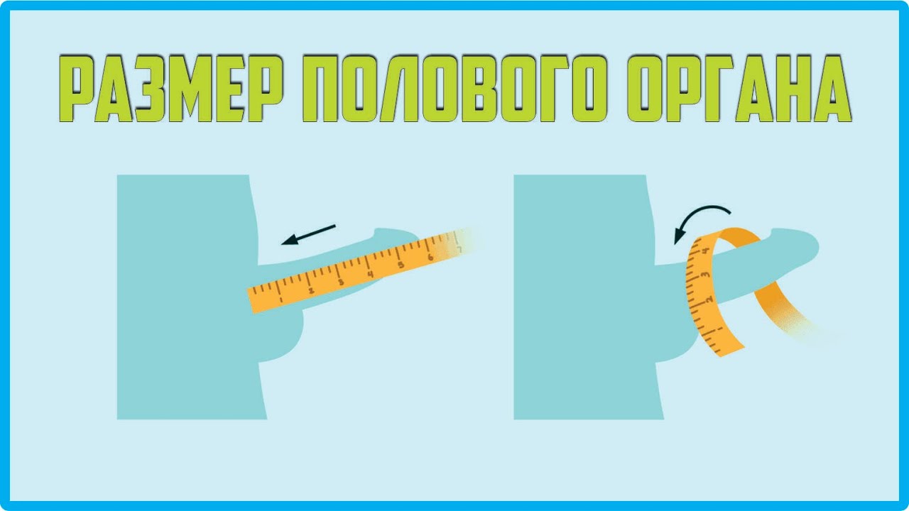 Какой нормальный размер члена? Dr. Hasan Samadov +994553480088