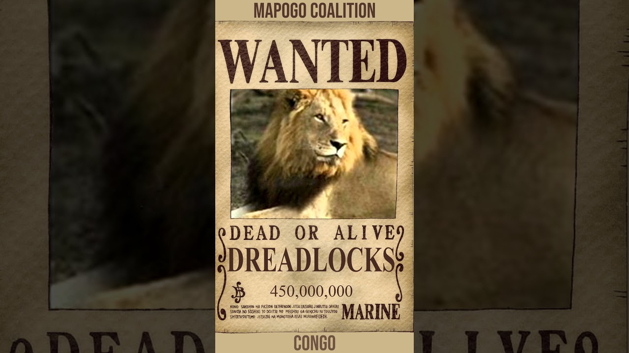 Mapogo Coalition Weakest To STRONGEST (Bounty Edition)