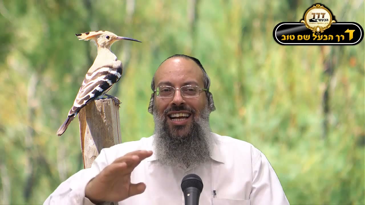 HD פרשת ויקהל | הדוכיפת | הכחשת המעלות