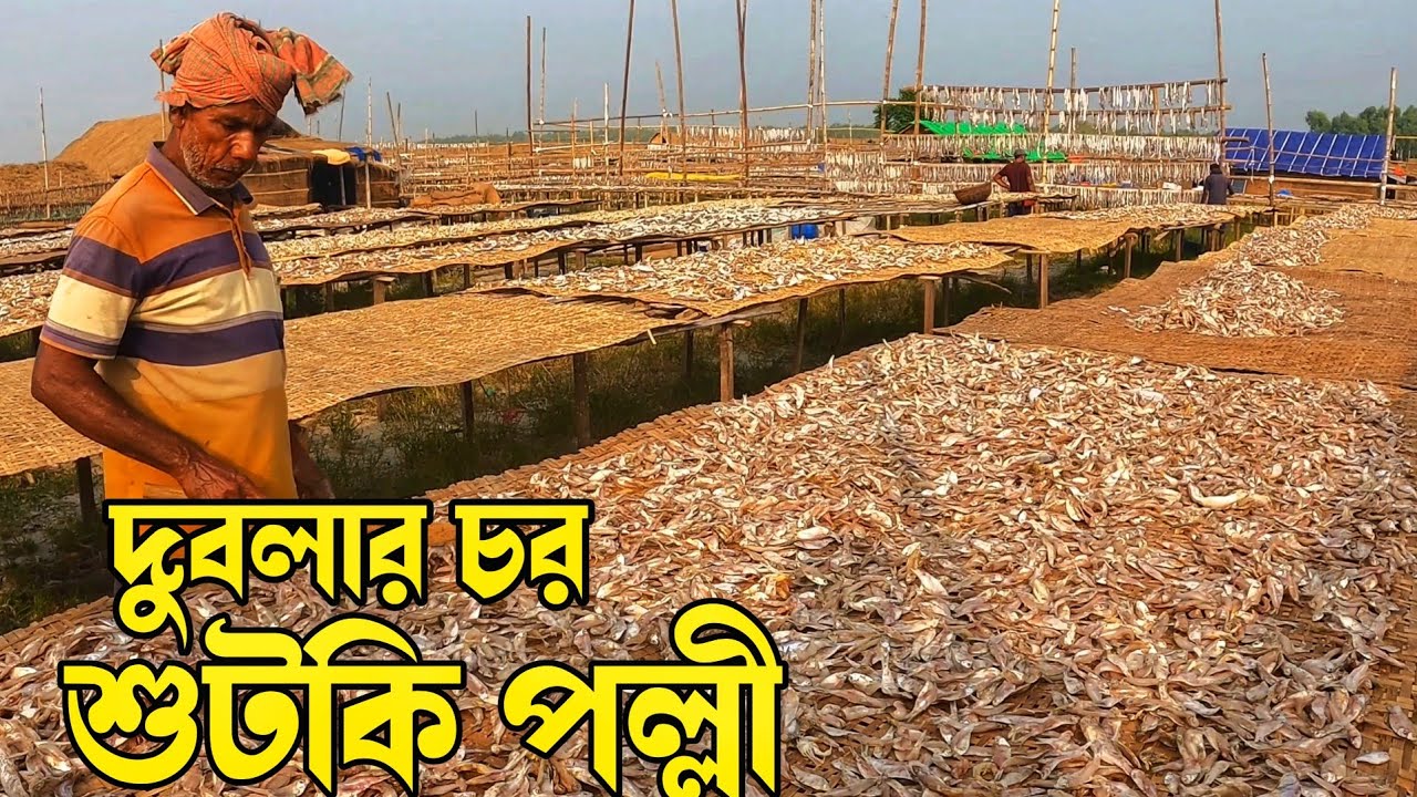 দুবলার চরের বিখ্যাত শুটকি পল্লী 🐟 | লইট্টা, রূপচাঁদা এবং শুটকি তৈরির সম্পূর্ণ প্রক্রিয়া