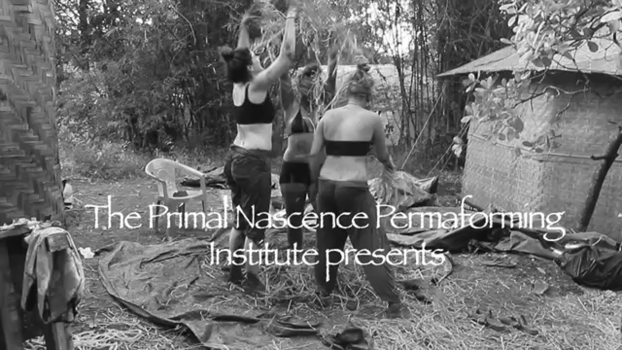 Permaform Institute Cob Building Workshop
