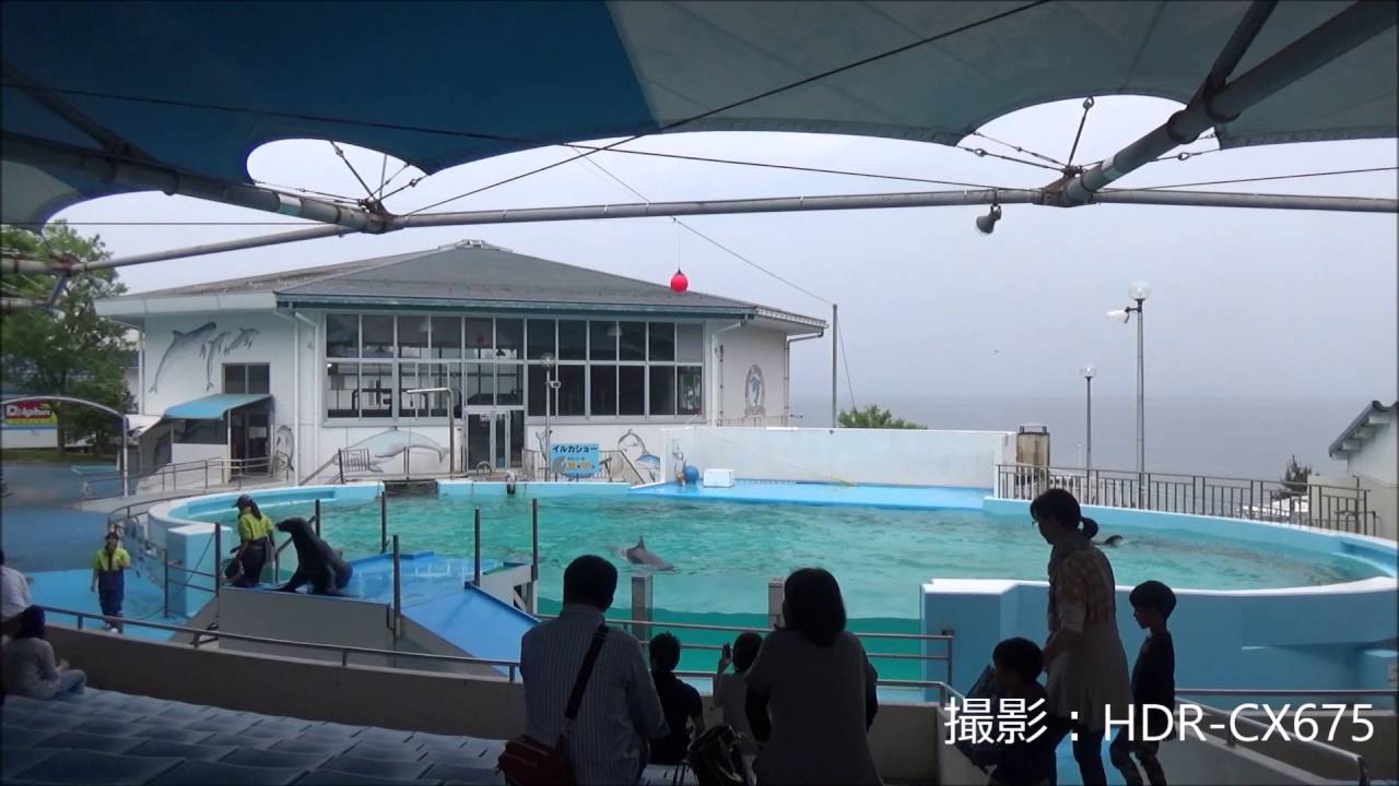 【イルカショー】石川県・のとじま水族館【2016/05/28-002】