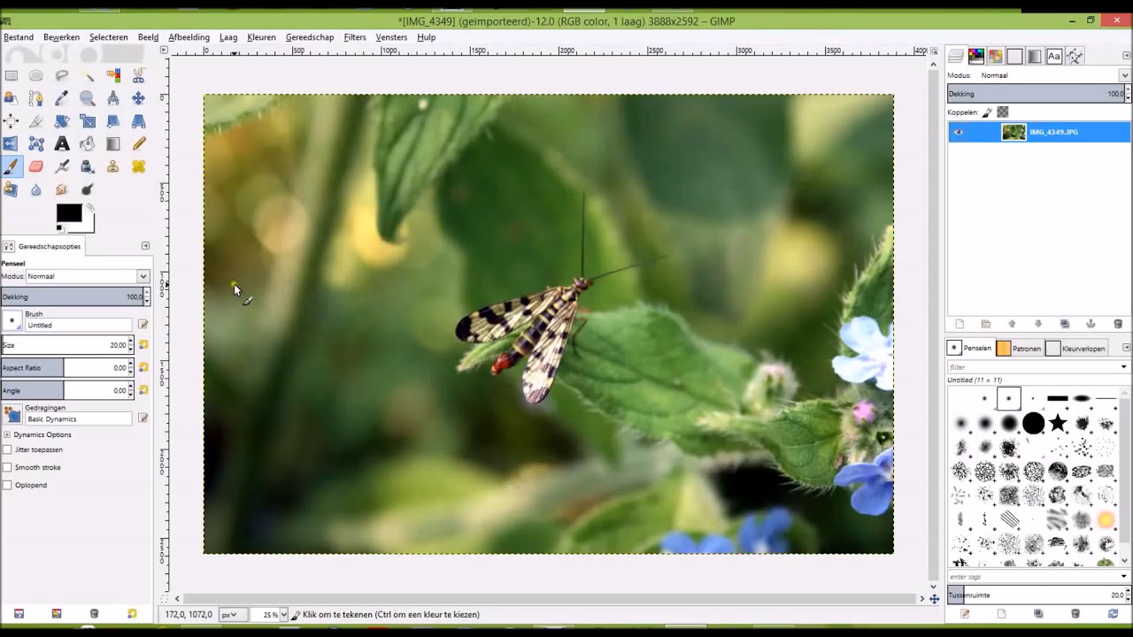 Een fletse foto eenvoudig meer kleur en contrast geven