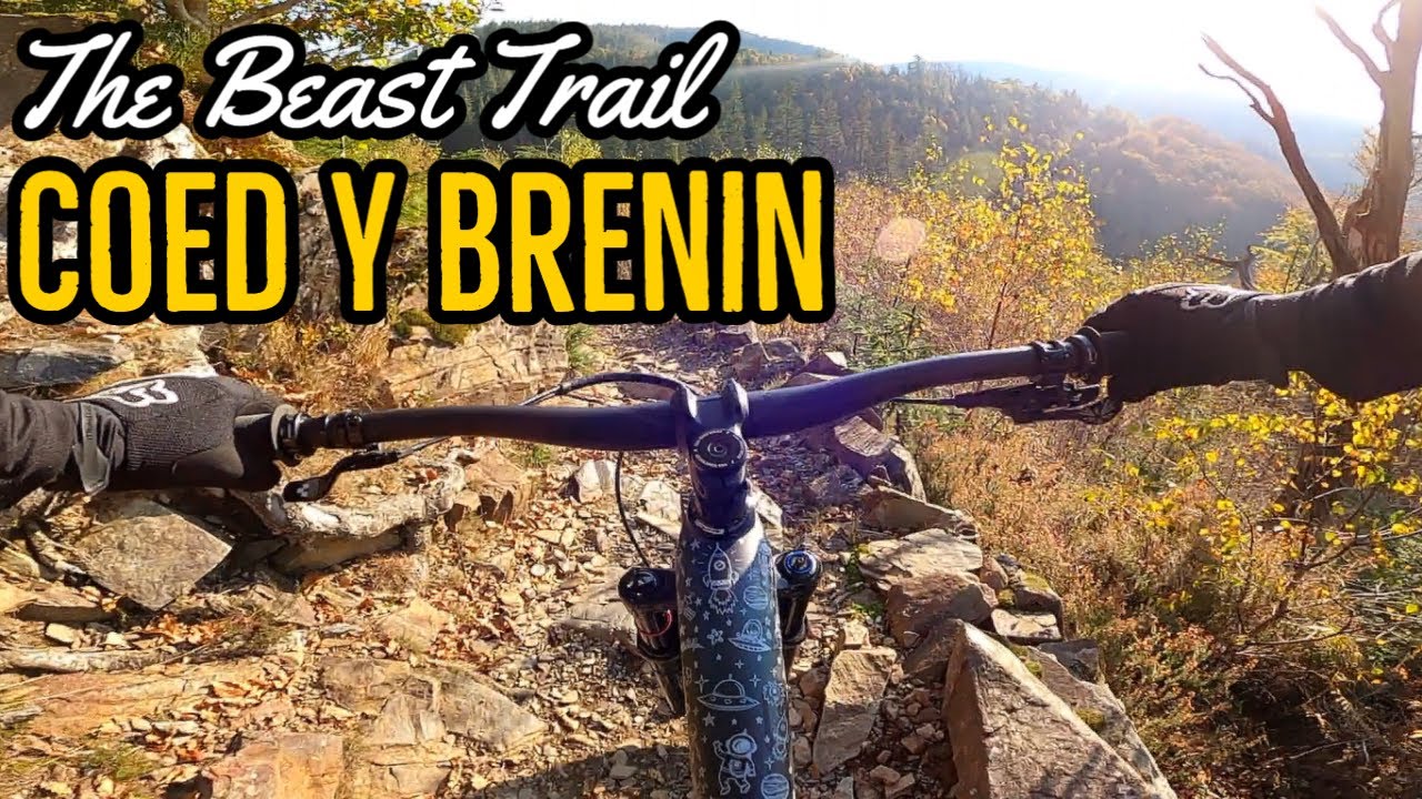 The Beast Trail at Coed Y Brenin