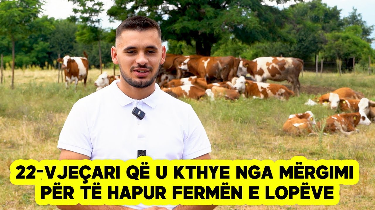 22-vje&ccedil;ari kthehet nga m&euml;rgimi dhe hap ferm&euml;n e lop&euml;ve: 4000 mij&euml; euro kam fitim nga qum&euml;shti