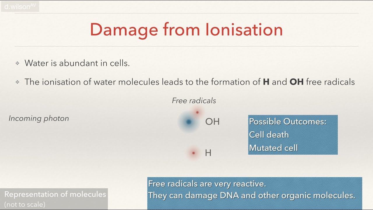 The Harmful Effects of Ionising Radiation