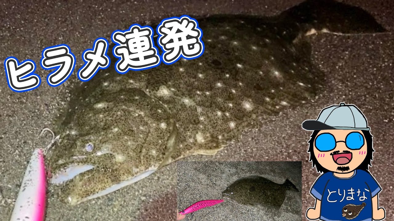 [厳寒期サーフ] ビッグフローティングミノーを投げてヒラメを2枚釣りました♪